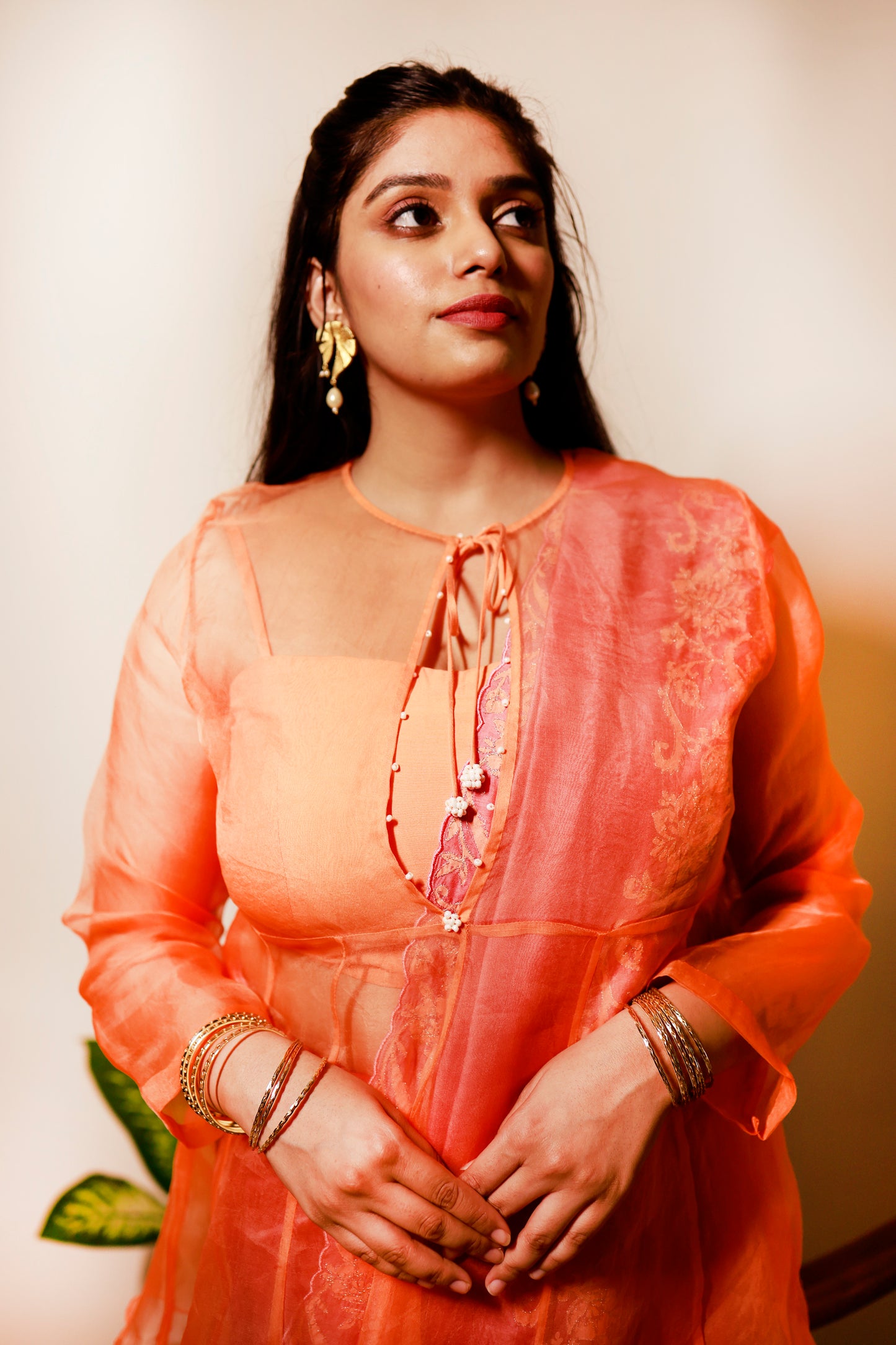 Saffron Radiance Organza Blouse with Rosewood Embroidered Saree