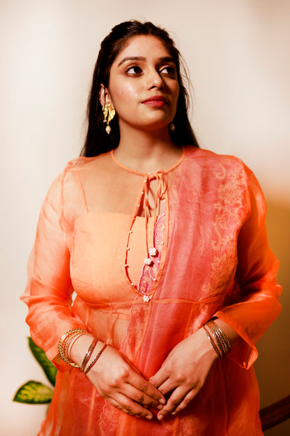 Saffron Radiance Organza Blouse with Rosewood Embroidered Saree