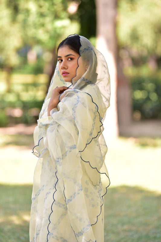 amisha-sharma-in-ira-ivory-suit-by-earthenrui